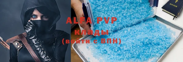 гашик Алексин