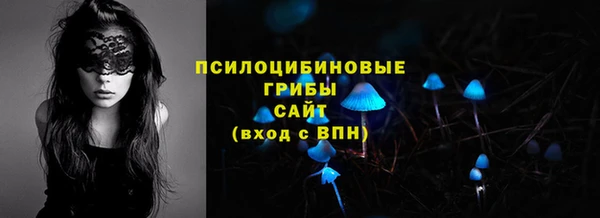 мяу мяу мука Алзамай