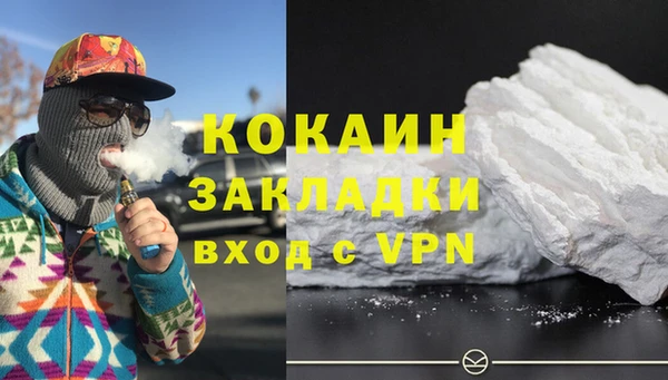 гашик Алексин