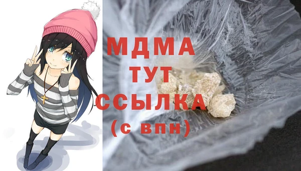 гашик Алексин