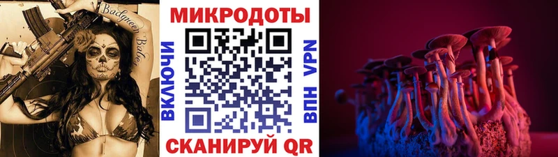 OMG как войти  Керчь  Псилоцибиновые грибы Magic Shrooms 